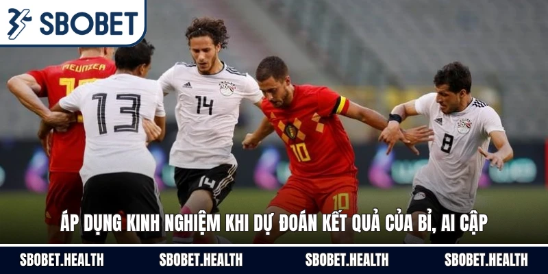 Áp dụng kinh nghiệm khi dự đoán kết quả của Bỉ, Ai Cập