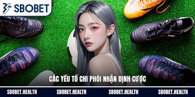Các yếu tố chi phối nhận định cược