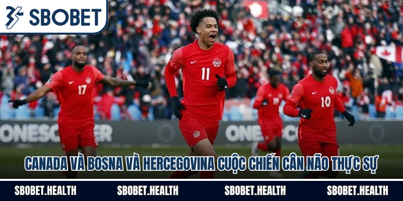 Canada Và Bosna Và Hercegovina Cuộc Chiến Cân Não Thực Sự