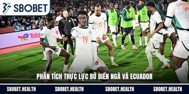 Phân tích thực lực Bờ Biển Ngà và Ecuador