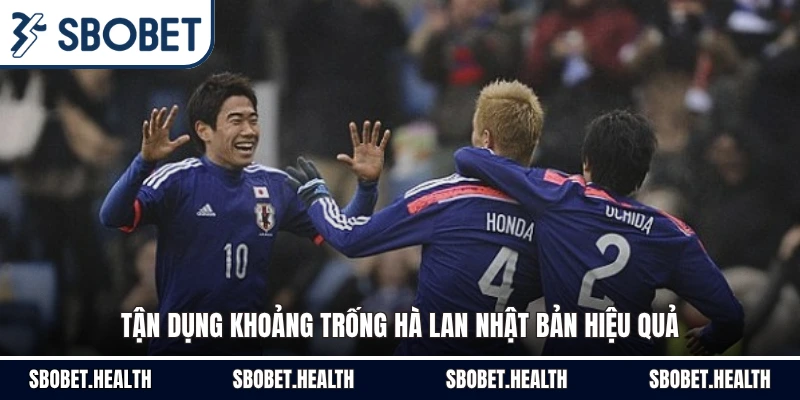 Tận dụng khoảng trống Hà Lan Nhật Bản hiệu quả